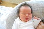 STELA GULTOVÁ se narodila 31. října ve 21.54 hodin. Po narození vážila 3720 g. Obrovskou radost udělala svým rodičům Petře a Borisovi Gultovým z Hradce Králové. Doma se těší bráška  Šimon. Tatínek to u porodu zvládl skvěle.