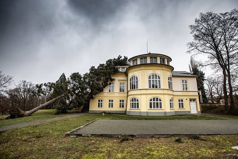 Následky vichřice na Královéhradecku.