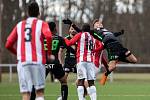 Zimní příprava fotbalistů: FC Hradec Králové - FK Viktoria Žižkov.