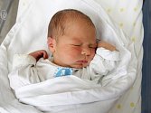 Vincent Karlec se narodil  29. října ve 13.30 hodin. Měřil 51 centimetr  a vážil 3400 gramů. S maminkou Olgou Horákovou, tatínkem Kamilem Karlecem a bratrem Matyášem Karlecem bydlí ve Vysoké nad Labem.