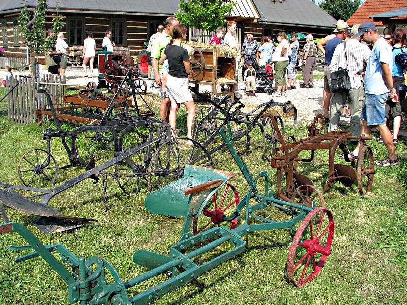 Podorlický skanzen Krňovice nedaleko Třebechovic pod Orebem začal vznikat v roce 2002. Dnes je v areálu k vidění jedenáct historických budov.