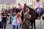 Cihelna 2008, děti se chtěli alespoň posadit na vojenského koně