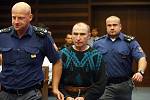 Pavel Salaba u hradeckého soudu za vraždu své družky, kterou ubodal 22 ranami (12. ledna 2011).