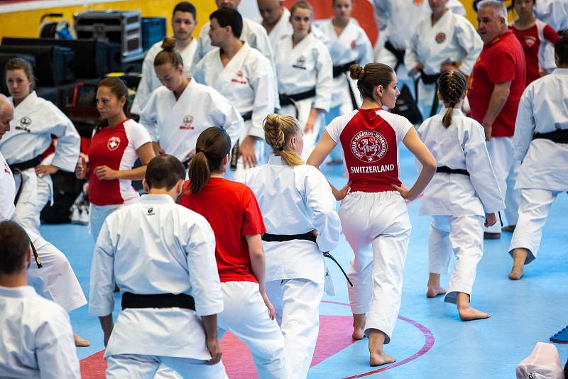 Mistrovství světa v karate v Hradci Králové.