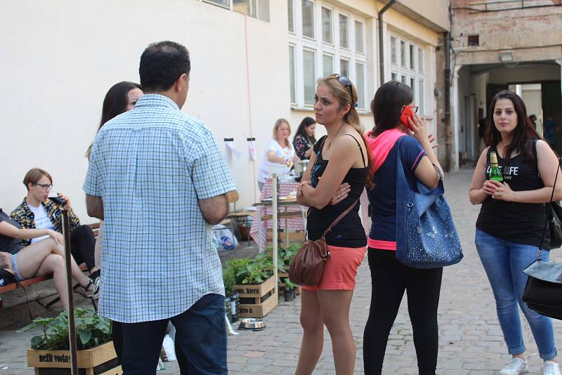 Festival Uprchlení v Hradci Králové.