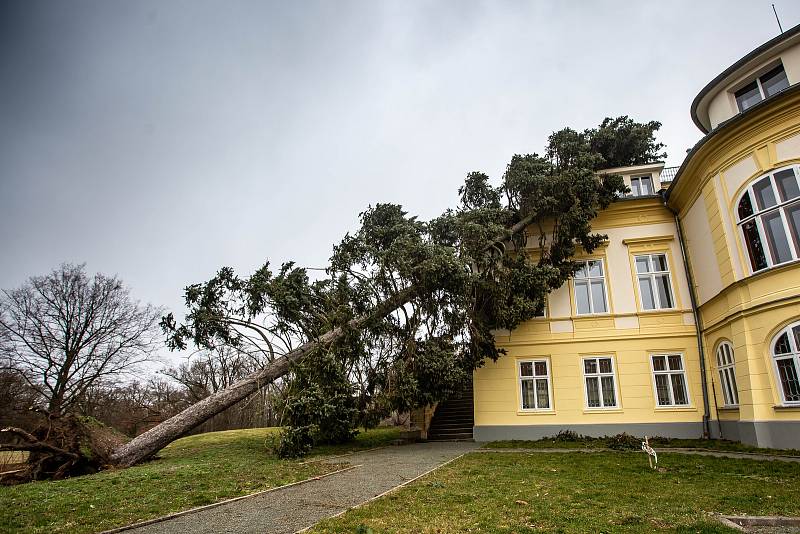 Následky vichřice na Královéhradecku.