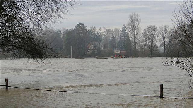 Hasiči zachránili osm koní ze zaplavené louky v Blešně (16. ledna 2011).