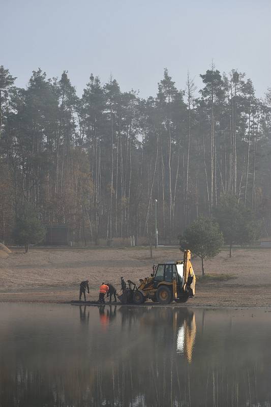 Městské lesy Hradec Králové čistí břehy přírodního koupaliště Stříbrný rybník od sinic a dalších nečistot. Chtějí tak zlepšit kvalitu vody ke koupání pro příští sezónu. Postupně vyčistí celý obvod rybníka.