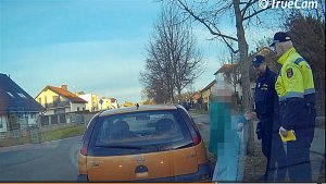 Sedmasedmdesátiletá žena v Hradci Králové své vozidlo zastavila v zákazu přímo před očima strážníků.