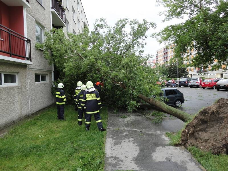 Pád stromu v ulici Sekaninova v Hradci Králové.