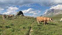 Itálie - Livigno