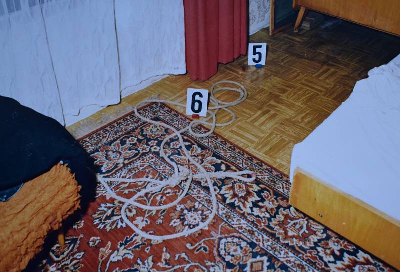 Jan Lomnický se jako mladý kriminalista podílel na vyšetřování jedné z nejděsivějších vražd na východě Čech. Na jaře 1993 ubil Pavel Peca sekerou bývalou manželku a dvě dcery.