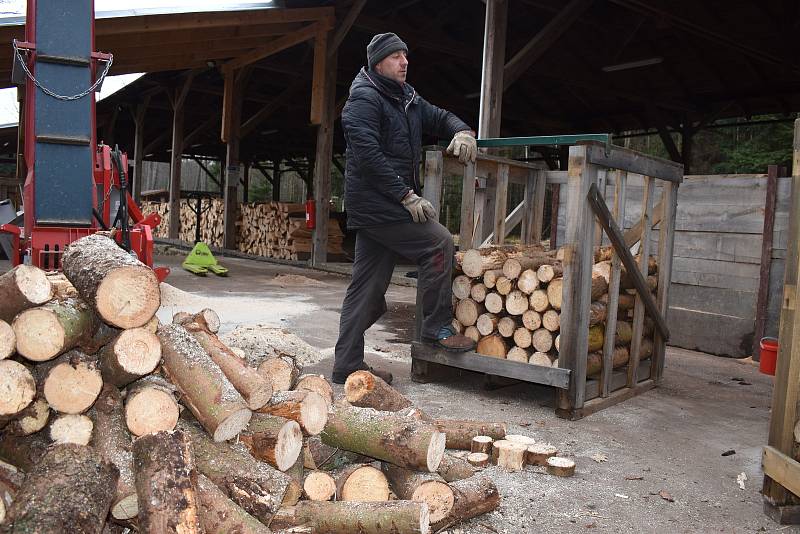 Češi se vrací k topení dřevem. Zájem o ně roste a samotné dřevo zdražuje. Například v Městských lesích Hradec Králové.