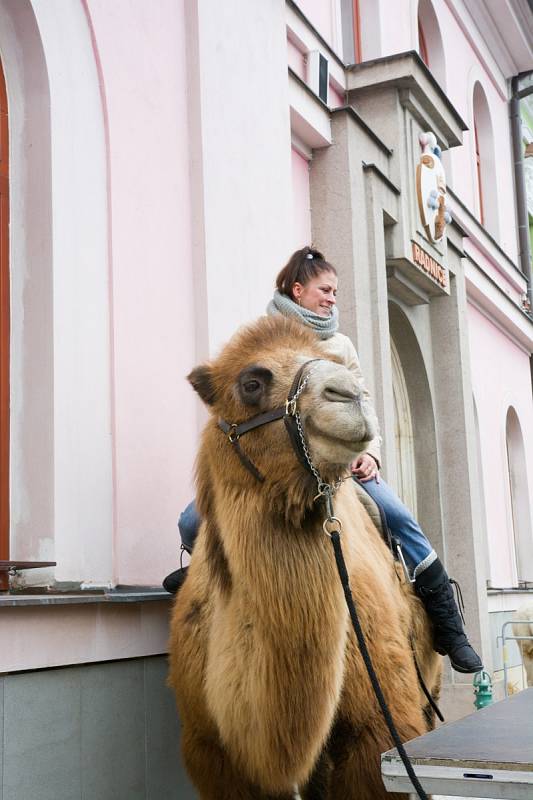 Čtvrtý ročník Betlémských trhů v Třebechovicích