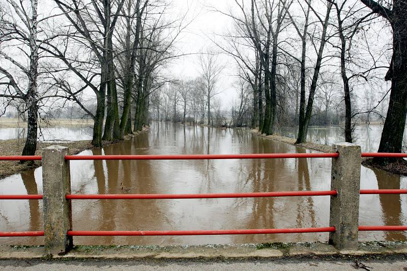 První povodňový stupeň platí na řece Cidlině na královehradecku. Zaplavené louky v okolí Nového Bydžova.