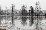 První povodňový stupeň platí na řece Cidlině na královehradecku. Zaplavené louky v okolí Nového Bydžova.