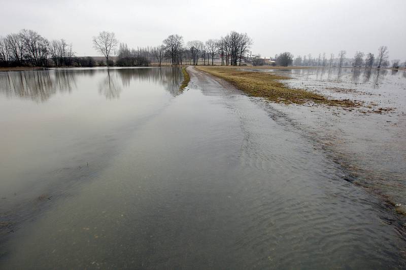 První povodňový stupeň platí na řece Cidlině na královehradecku. Zaplavené louky v okolí Nového Bydžova.