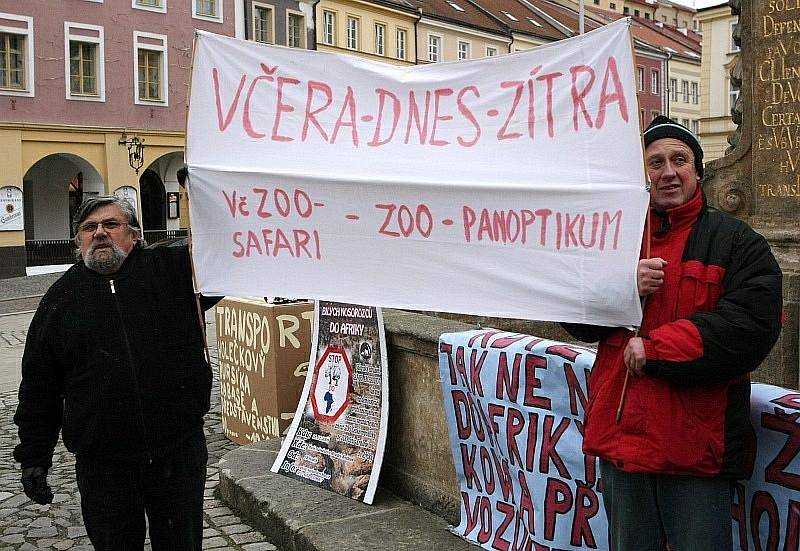 Téměř padesát lidí se sešlo 16. prosince na Malém náměstí v centru Hradce Králové na demonstraci proti transportu čtyř kusů velmi vzácných severních bílých nosorožců ze zoologické zahrady ve Dvoře Králové nad Labem do rezervace v Keni.