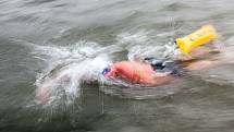 River Labe Ice Swim v Hradci Králové.