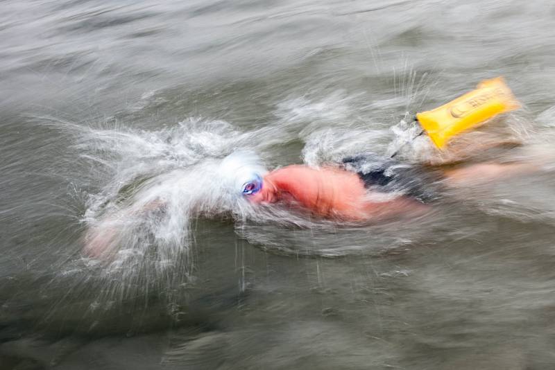 River Labe Ice Swim v Hradci Králové.