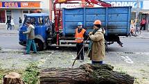 Kácení stromů v Chelčické ulici poblíž obchodního domu Tesca v pondělí 19. října.