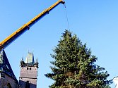 Manipulace s vánočním stromem na královéhradeckém Velkém náměstí.