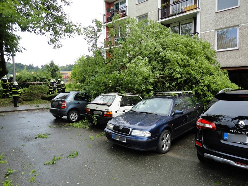 Pád stromu v ulici Sekaninova v Hradci Králové.