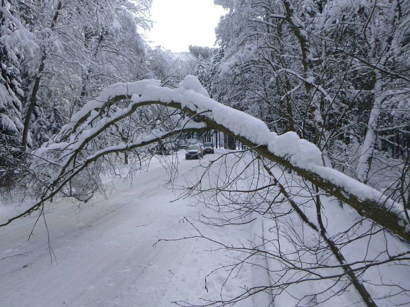 Následky sněhové kalamity v Krkonoších.