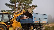 Městské lesy Hradec Králové čistí břehy přírodního koupaliště Stříbrný rybník od sinic a dalších nečistot. Chtějí tak zlepšit kvalitu vody ke koupání pro příští sezónu. Postupně vyčistí celý obvod rybníka.