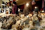 Výstava minerálů, fosílií a drahých kamenů 14. listopadu na Střelnici v Hradci Králové. 