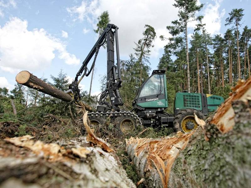 Stopy po vichřici pomalu mizí