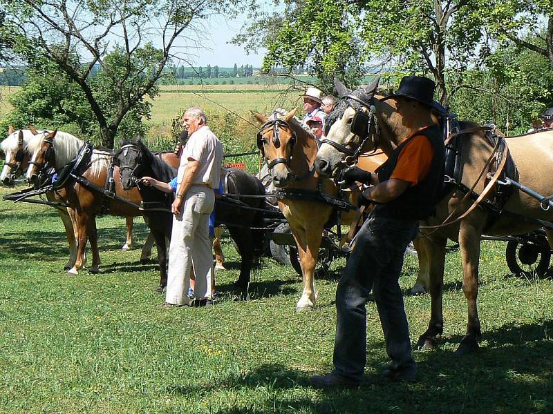 Druhý ročník Dne koní v Horních Černůtkách (neděle 11. července 2010).