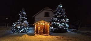 Vánoční strom v Lužci nad Cidlinou, okr. Hradec Králové.