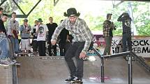 Závod 14. ročníku DVS Českého skateboardového poháru v Šimkových sadech v Hradci.