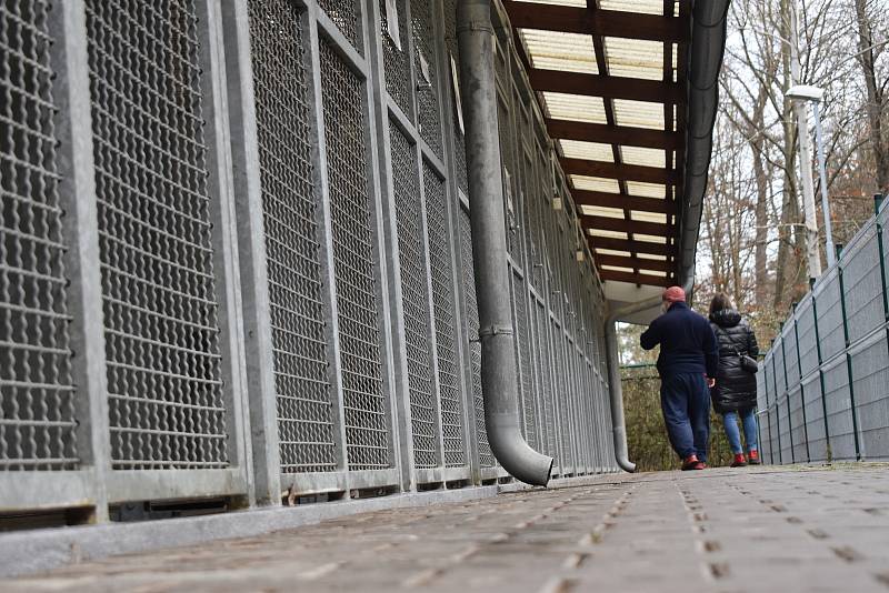 Hradecký útulek se na víkend otevřel milovníkům zvířat