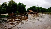 Záchrana ovcí a jehňat v Pamětníku u Chlumce nad Cidlinou.