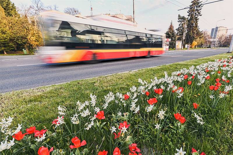 Foto: Zdeněk Puš, www.hradeckralove.org