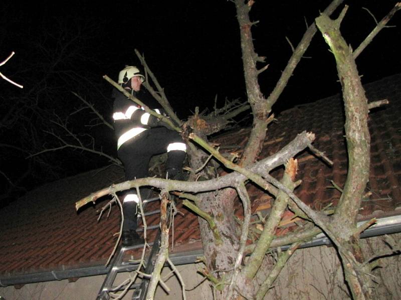 Hasiči při odstraňování stromu spadlého na dům v ulici Zámeček v Hradci Králové.