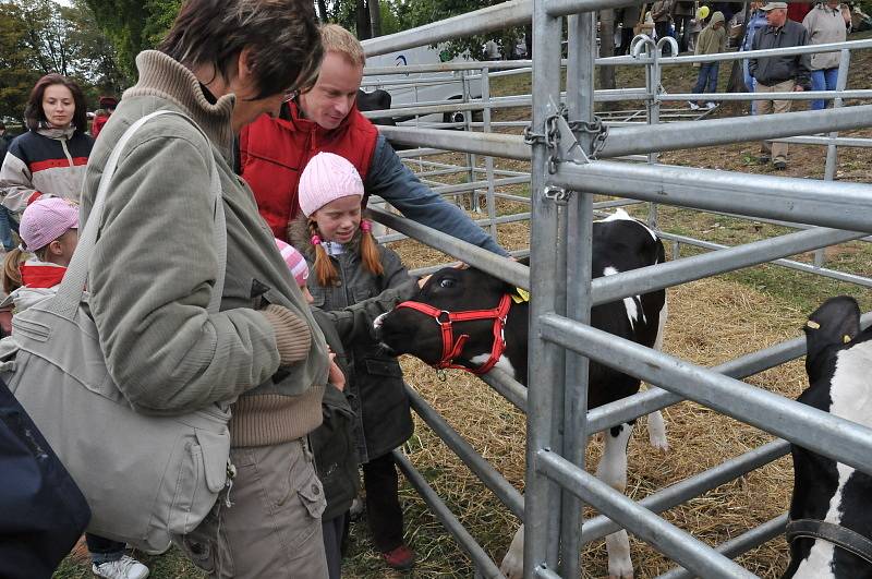 Královéhradecké krajské dožínky2008