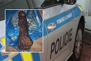 Věc připomínající pánské přirození našla žena mezi paneláky v Hradci Králové. Raději zavolala na policii.