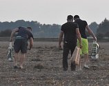Doslova nájezdům zlodějů čelí pěstitelé cibule na Hradecku. Pole musí v době sklizně hlídat prakticky 24 hodin denně.