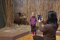 Muzeum východních Čech si na návštěvnost o prvních středách v měsíci nemůže stěžovat.