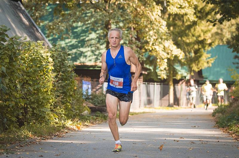 ZÁVODNÍCI všech věkových kategorií a úrovní se v neděli zúčastnili 9. ročníku Olfincar Hradeckého půl/maratonu.