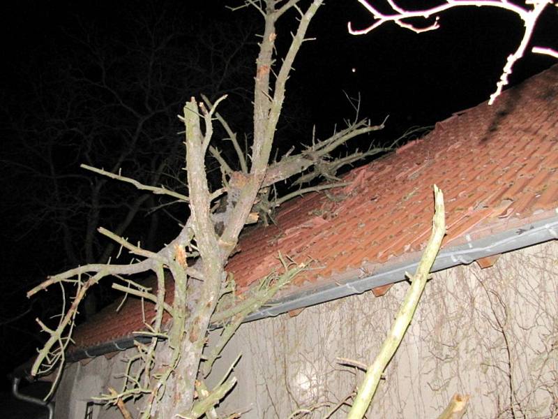 Hasiči při odstraňování stromu spadlého na dům v ulici Zámeček v Hradci Králové.