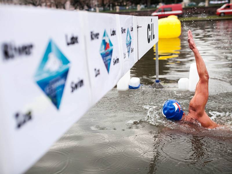 River Labe Ice Swim v Hradci Králové.