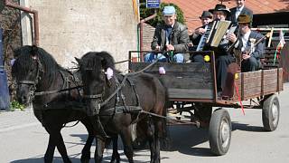 Splašil se kůň. Kočár i s cestujícími skončil v příkopu - Moravskoslezský  deník