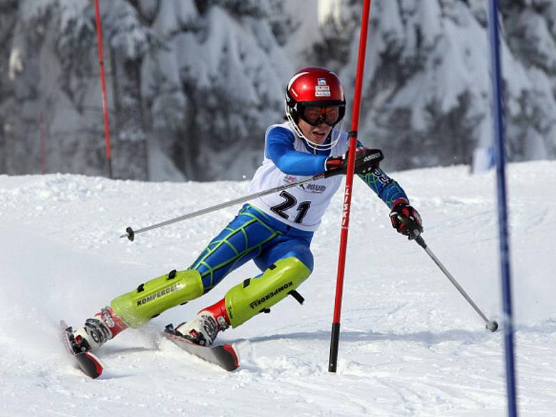 Lyžařské Skiinterkritérium v Říčkách v Orlických horách.