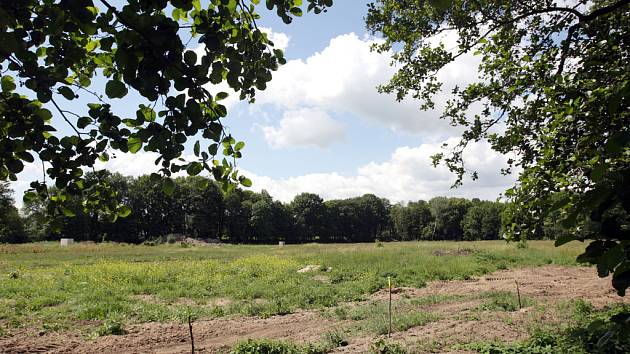 Na zelené louce v blízkosti malšovického stadino vyroste dlouho očekávané hradecké koupaliště za 354 milionů korun. Stavba by měla začít 3. června a potrvá nejdéle 28 týdnů.