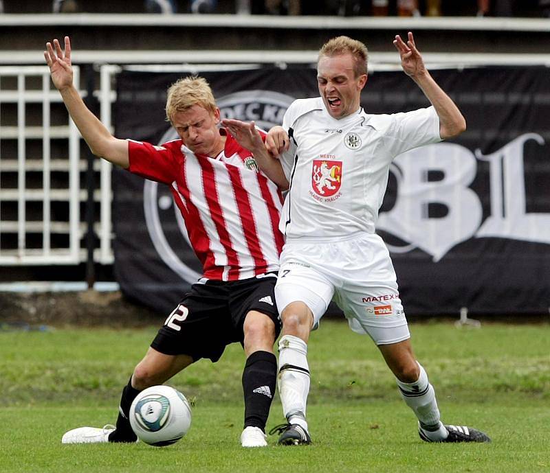 FC Hradec Králové - Viktoria Žižkov 1:0