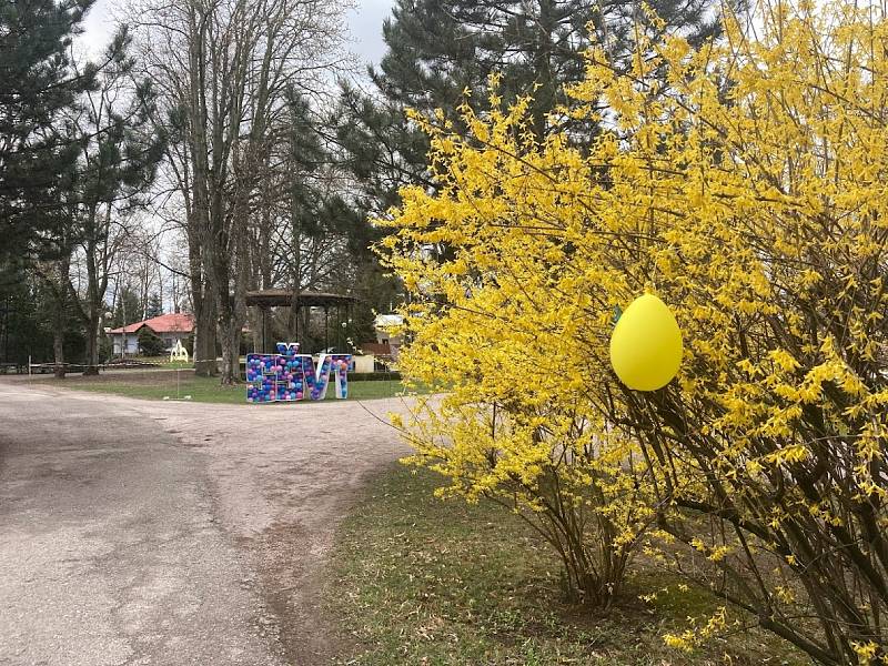 Školní výstava vizuální tvorby v Jiráskových sadech.